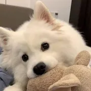 Huỳnh Lê Kim Yến's Review