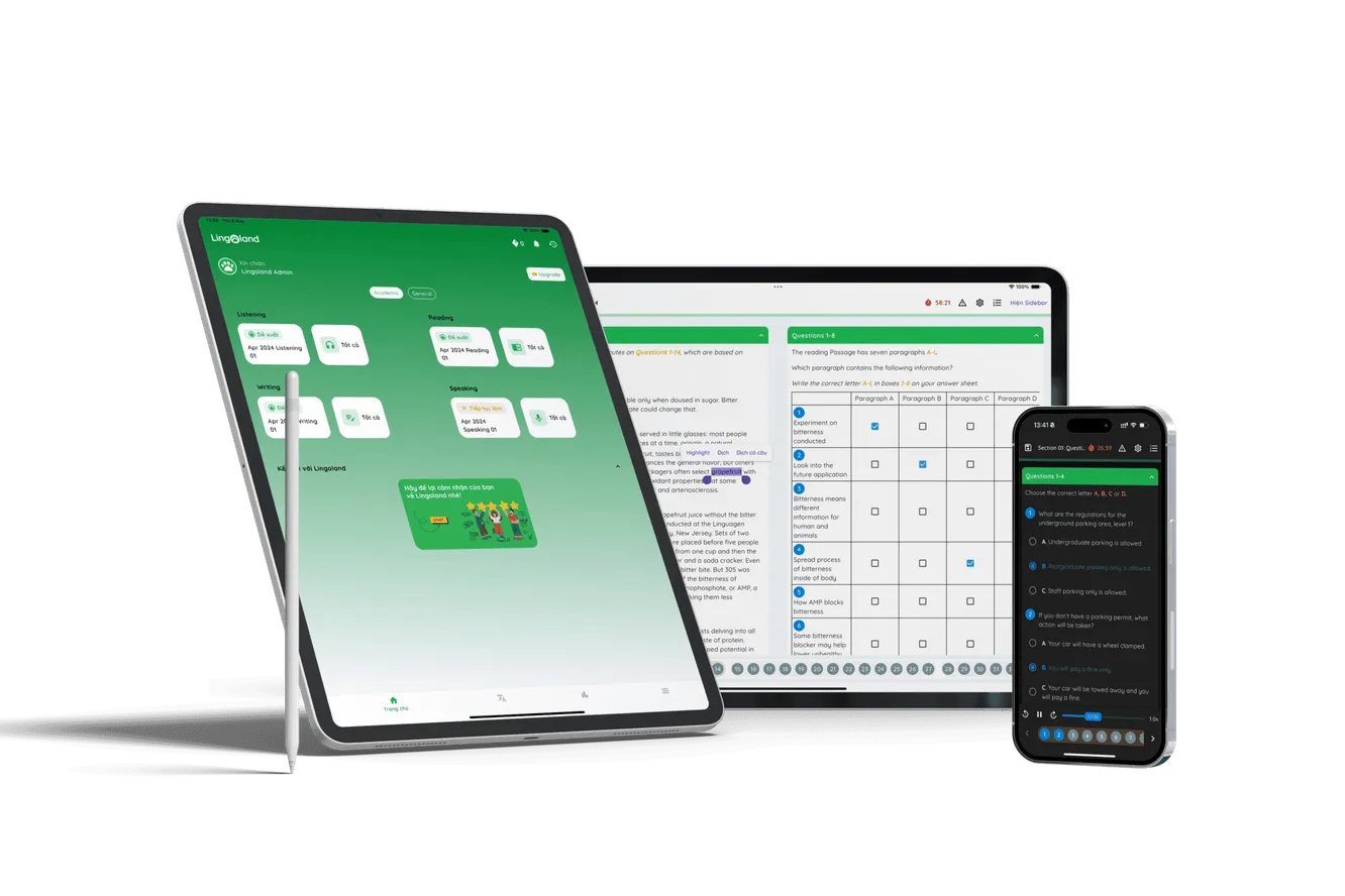 Lingoland IELTS Wallpaper