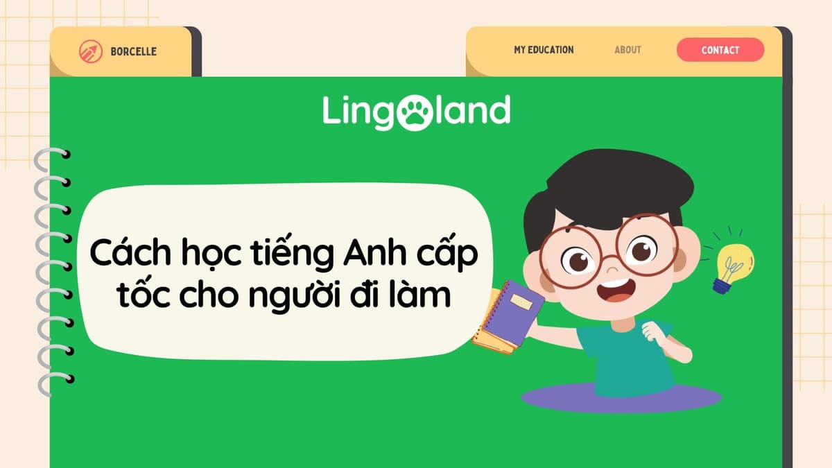 Cách Học TOEIC Cấp Tốc Cho Người Đi Làm